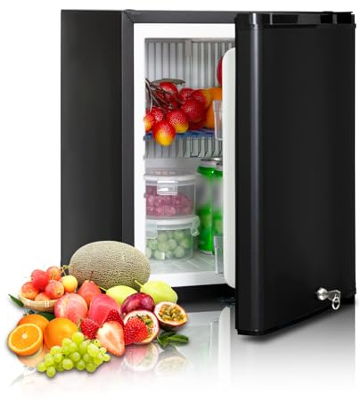 Techomey Frigo 12V, 30L, Frigo Camping car 12V 220V, avec Serrure, 21dB, 0-10℃ Réfrigérateur pour Caravane, Camion, Chambre, Noir