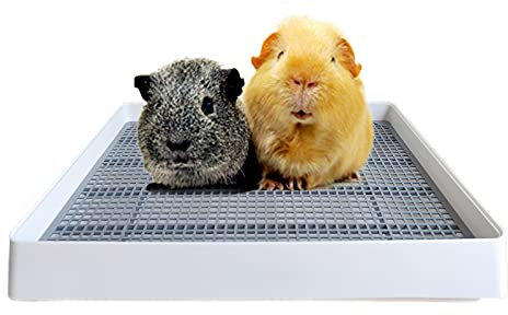 PODOO Große Katzentoilette, Meerschweinchen-Trainingskäfig mit WC-Tablett, ideal für Ratten, Hamster, Frettchen, Häschen, kleine und mittelgroße Tiere, 38,1 x 30,5 x 7,6 cm (Medium)