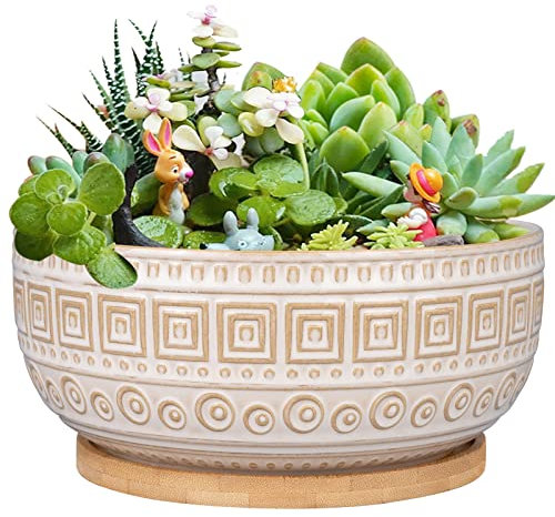 G EPGardening 20.5CM Ceramic Succulent Planter Pots Round Shallow Bonsai Planter Pot for Indoor Plants with Drainage and Bamboo Saucer White