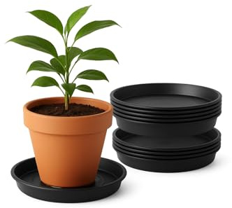 Advanced Farming 5 Pack Plant Saucers, Plant Pot Saucer Trays, Garden Saucers Protection for Household Plants - 30cm (Black)