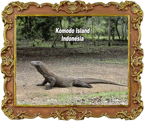 Komodo Island Indonesien Touristen-Souvenir Kühlschrankmagnete Kühlschrankdekoration Magnete