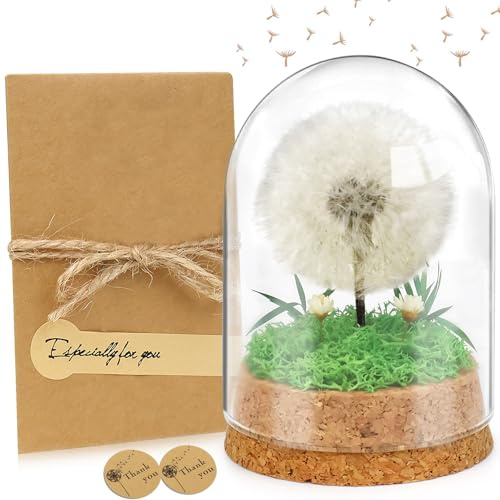 UGBO Idee Regalo Donna Vera Leone in Vetro Fiore Stabilizzato Fiori Stabilizzati Veri Regali Natale Compleanno Anniversario Festa della Mamma Idea Regalo