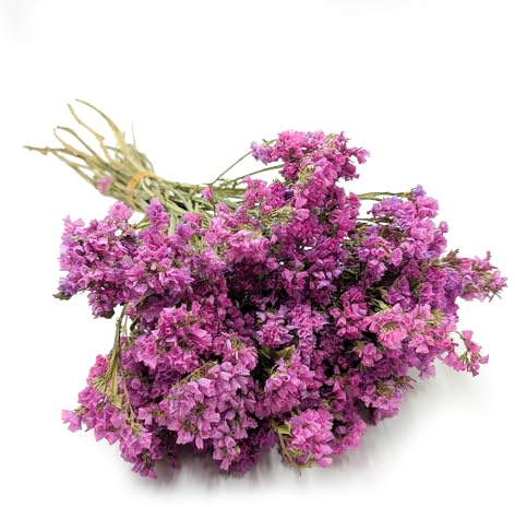 Enchanted Trockenblumen Dekogras Limonium Sinuatum Strandflieder Getrocknetes Gras Ziergras Natürlich Deko Rosa