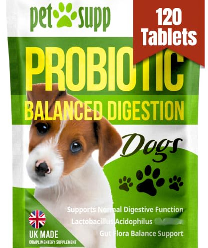 Dog Probiotic Tablets – 500M CFU Gut Health & Digestion – 120 Tablets | 500 million CFU probiotic tablets supporting healthy digestion, gut balance and normal stools in dogs of all breeds.