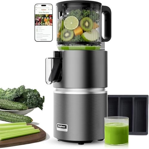 Anybear Cold Press Juicer with 4.9 Large Feed Chute, 350W Masticating Juicer Machines with Dual Slow-Squeezing Technology for Whole Fruits & Veggies with High Yield | BPA-Free Tritan (Grey)