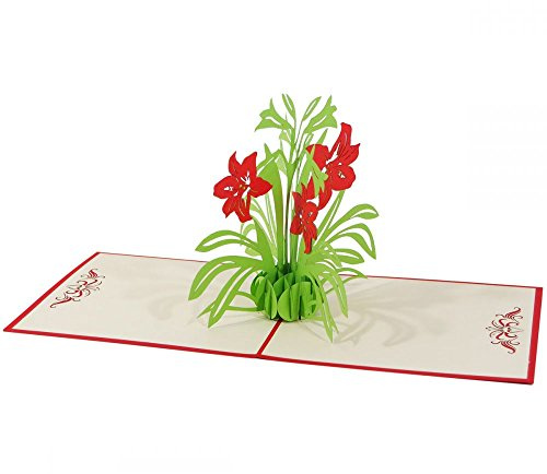 3D Kartenwelt