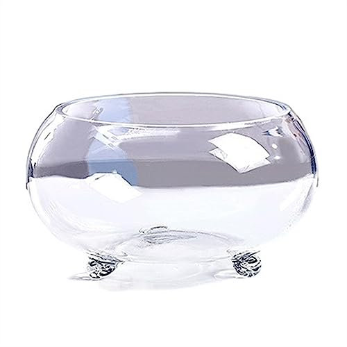 Aquarium Aquarium, verdicktes transparentes Glas-Tank, Schildkröten-Tank mit Unterstützung, Kleiner Fuß, ökologisches Aquarium, Zuhause, Wohnzimmer, Büro, Desktop Aquarien (Size : M)