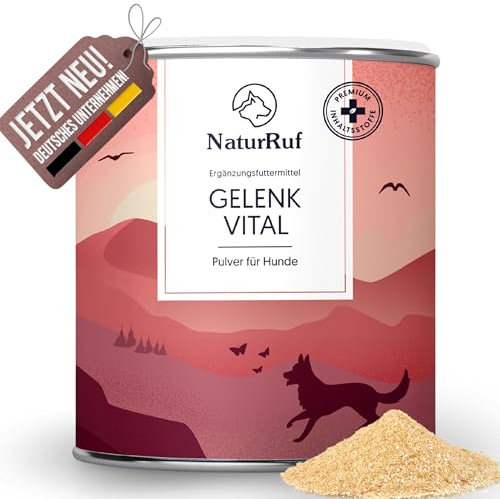 NaturRuf Gelenkpulver hochdosiert für Hunde mit Grünlippmuschel, MSM, Glucosamin - Unterstützung des Gelenk-Stoffwechsels bei Osteo-Arthritis - Alternative zu Gelenktabletten - Hohe Akzeptanz