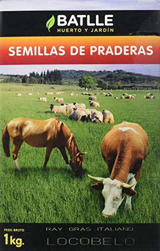 Semi di prato R.G. Certificato Italiano 1 Kg - Batlle