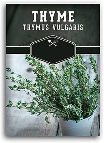 Semillas de Tomillo | DECOALIVE | Semillas de Huerto | Planta Aromáticas | Semillas Hierbas Provenzales