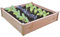 Spear & Jackson RAISEDBED1 Timber Raised Bed Kit 1200 x 1200 x 300mm