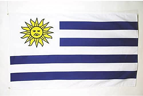 BANDIERA URUGUAY 90x60cm - GRAN BANDIERA URUGUAIANA 60 x 90 cm Poliestere leggero - Bandiere - AZ FLAG