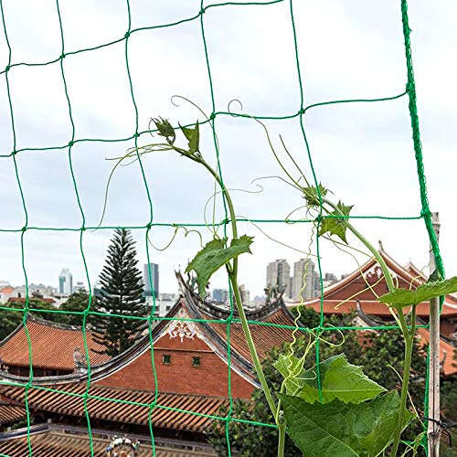 Garden Netting, 3.6 x 1.8 m Pea Bean Netting, Plastic Plant Climbing Net, Green Trellis Net for Vegetables Climbing Plants