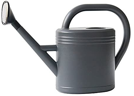 MARMODAY Arrosoir pulvérisateur de jardin, flacon pulvérisateur à tête de rose, brume fine, long bec, gris 3 l