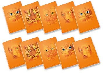 Pigna, Maxi Quaderno Monocromo Orange, A4, carta interna 100 g/m², pagine 72 + risguardo, interno 1R, righe, Soggetti Assortiti, Confezione da 10