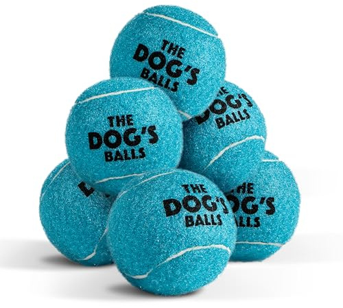 The Dog's Balls Dog Tennis Balls Tough 2.5 6-Pack Blue Floats in Water
