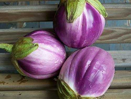 60 Graines d'Aubergine Rontonda di Bianca - légumes semis potager - semences paysannes