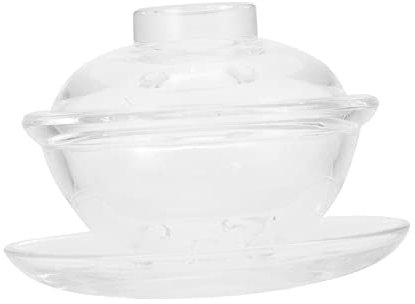 GaRcan 1 Set Bowl Steaming Egg Cup Soup Tureen with Lid Dessert Tasting Bowl Clear Container with Lid Glass Coffee Mug with Lid Glass Terrarium with Lid Food Glass Bowl Food Sa
