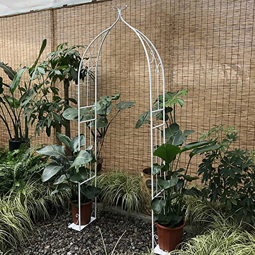 Stylish Metal Garden Arch for Small Climbing Plants Easy to Assemble Pergola Arbor and Rose Arch for Indoor/Outdoor Decoration