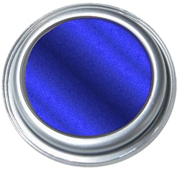 SCOOBYS PAINTS BACK IN THE MIX 250ML Tin Very High temperature Paint For Indoor Outdoor use Metal, Calipers, Cooker, BBQ, Gloss Shine Finish (Blue For You)