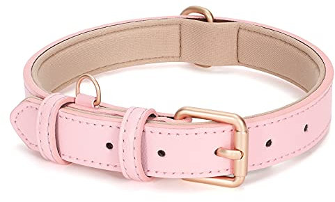 JASGOOD Leather Dog Collar for Small Medium Large Dog Adjustable Soft Leather Padded Puppy Collar with Alloy Buckle Heavy Duty Waterproof Dog Pet Collar, Pink, M