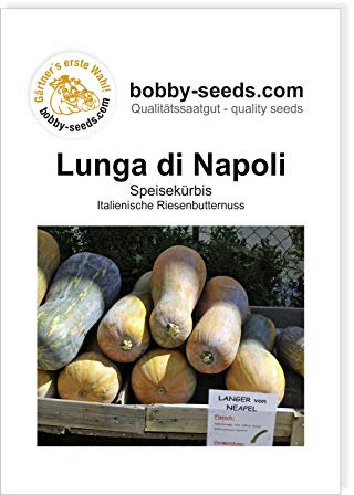 Lunga di Napoli Kürbissamen von Bobby-Seeds, Portion