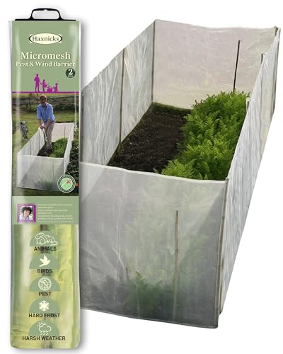 Tierra Garden 50–4000 2er Pack Haxnicks Glasglocke im Micromesh Pest und Wind Barriere