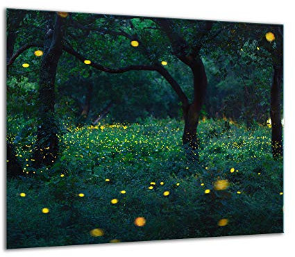 TMK - Placa protectora de vitrocerámica 60 x 52 cm 1 pieza cocina eléctrica universal para inducción protección contra salpicaduras tabla de cortar de vidrio templado como decoración, paisaje
