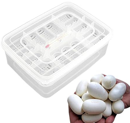 Reptilien-Eier-Inkubator-Tablett, 16 Fächer, transparenter Reptilien-Inkubator – Inkubationsbox für Reptilien-Eierentwicklung, Schlüpfkasten, Schlüpfschale