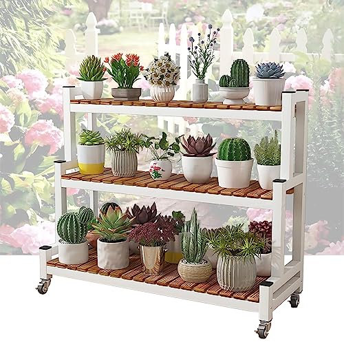 AKNGFO Pflanzen-Präsentationsregal, Pflanzen-Präsentationsregal, 2-stufiges 3-stufiges Leiterregal, Blumenständer auf Rollen mit Bremse, Indoor-Outdoor-Gartentopf-Präsentationsregal,