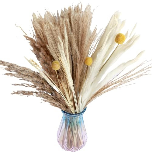 gebofuzhuang 115/90pcs getrocknete Pampas Gras Set für Vase natürliche elegante getrocknete Weizen -Weizen dekorative getrocknete weiße Pampas Bouquet DIY getrocknete staubige Grasdekoration für Hochz