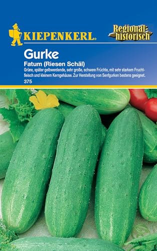 Kiepenkerl Schälgurkensamen Fatum 375 - Ideal für Senfgurken, Große Schwere Gemüsefrüchte, Hochwertige Gurkensamen, Gemüsesamen für den Garten, Saatgut