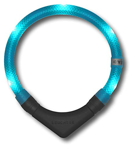 LEUCHTIE® Plus Leuchthalsband Hund batteriebetrieben, wasserdichtes LED Halsband, Hundehalsband Leuchtend mit 100 h Leuchtdauer, enorm hell, türkis Größe 50