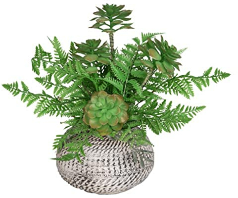 VEA SRL Planta Grasa y Helecho 20 x 41 cm LAO57493