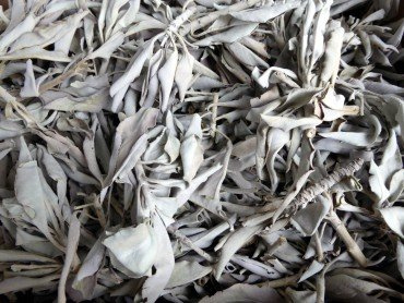 Fumaga - erstklassiger, natürlicher weißer Salbei lose - White Sage - 50 g