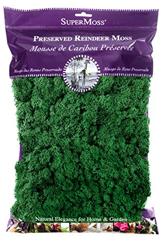 SuperMoss (21757) Reindeer Moss Preserved, Forest, 8oz (200 cubic inch)