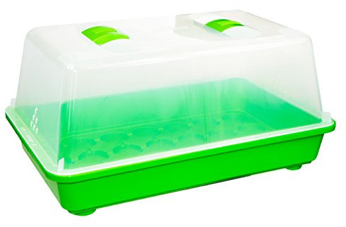 Romberg Gewächshaus M (Zimmergewächshaus) - 38 x 24 x 19 cm, mit Belüftung, bruchsicherer Deckel, sehr stabil, Mehrfarbig