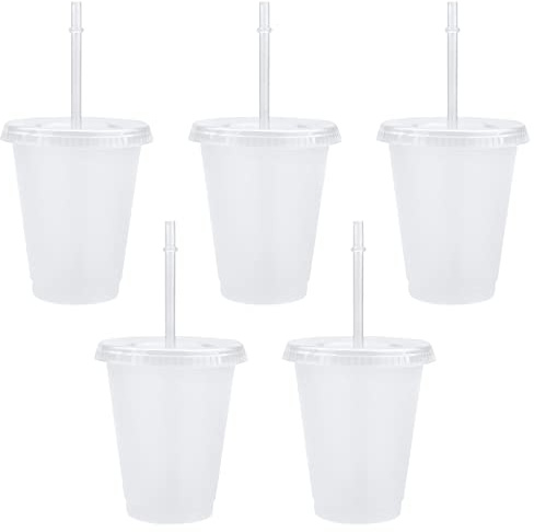 TSLBW 5 Pcs Reusable Plastic Cup Drinkware Tumblers Acrylic Cups with Lids and Straws Bulk Iced Cold Water Coffee Travel Mug Party Tumbler, 500ml Transparent (bg144)