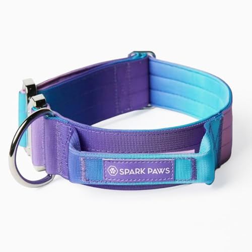 Spark Paws Taktisches Hundehalsband – Robuste, Premium-Qualität, Dick und Langlebig für Große und Mittelgroße Hunde - 90s Retro - S: 16-25kg [3.8cm]