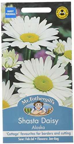 Mr Fothergill's 14739 Flower Seeds, Shasta Daisy Alaska, White