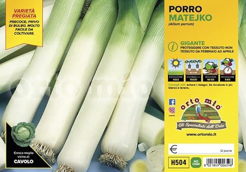 Orto Mio Piantine di Ortaggi in pack cubettato per la produzione famigliare disponibili in molte tipologie e varietà (Porro gigante Mateiko F1 12 piante)