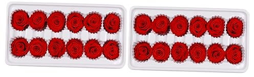 Abaodam 2sets Material Konserviert Frische Künstlerische Dekoration Für Hochzeit 12 Stücke * 2