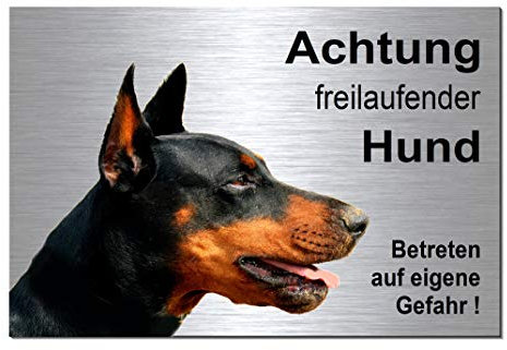 Dobermann-Freilaufender-Hund-Schild-Hundeschild-30 x 20 cm-Aluminium Edelstahloptik-Hunde-Tierschild-Warnschild-Hinweisschild (133-12 -30 x 20 cm mit Löcher)