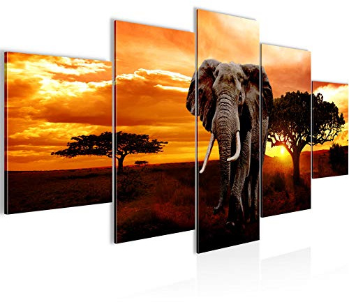 Runa Art - Bilder Afrika Elefant 200 x 100 cm 5 Teilig XXL Wanddekoration Design Orange 001251a