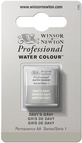 Winsor & Newton Half Pan Professional Water Colour, Davy's Gray