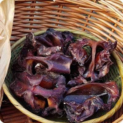 Tommydog Rindernasenknorpel (5 kg)/Nasenknorpel vom Rind/getrockneter Hundekausnack