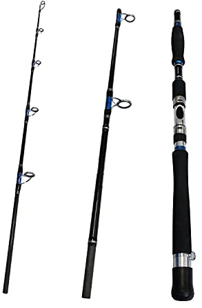 13,6–22,7 kg schwere Jigging-Rute, Tiefsee-Spinnrute für Salzwasser, Reisen, Boot, Angelrute (6,9)