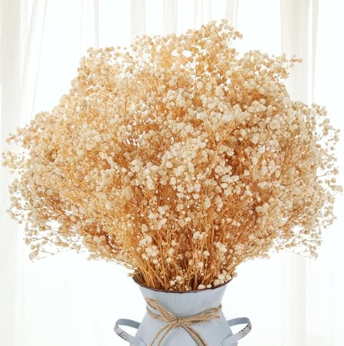 Barlone 43cm Schleierkraut Getrocknet Trockenblumen Deko, Trockenblumen Schleierkraut Beige, über 2000 Natürlich Gypsophila Blütenknospe, für DIY, Vase, Blumenhochzeit, Heim und Party Dekoration