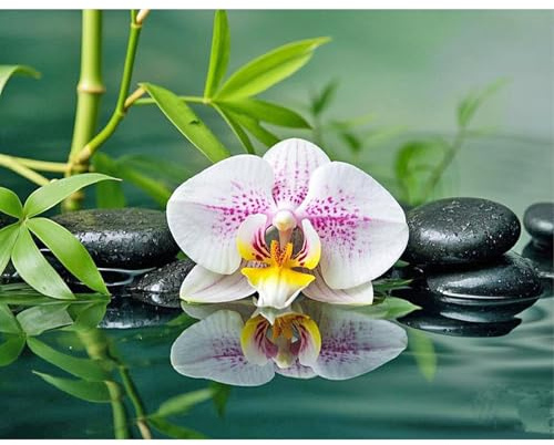SHEGZHUC 50x40cm Eckige Steine Diamond Painting Erwachsene Blumen Orchidee, Diamant Malerei Bilder Zen Religion, Mosaik Stickerei Kreuzstich Kunst Geschenk, Wanddekoration für Schlafzimmer Wohnzimmer