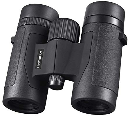 kikare Wingspan Optics Spectator 8X32 – kompakt kikare för fågelskådning – lätt och kompakt för hela, klara bilder – fältpinne, perfekt också för att titta på utomhussport eller konserter